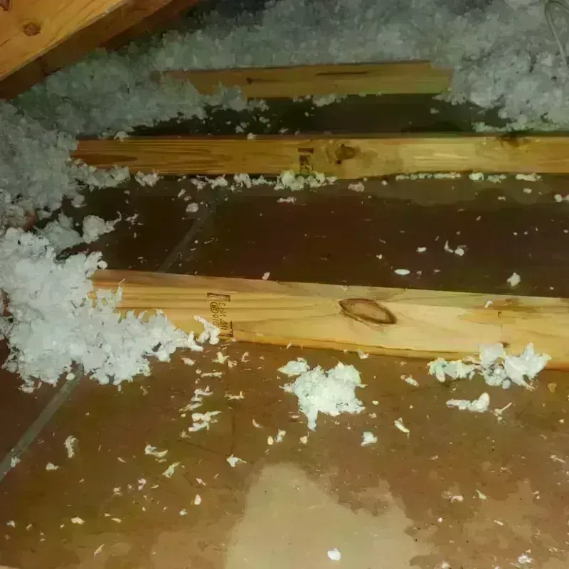 Attic Water Damage in Rock County, NE