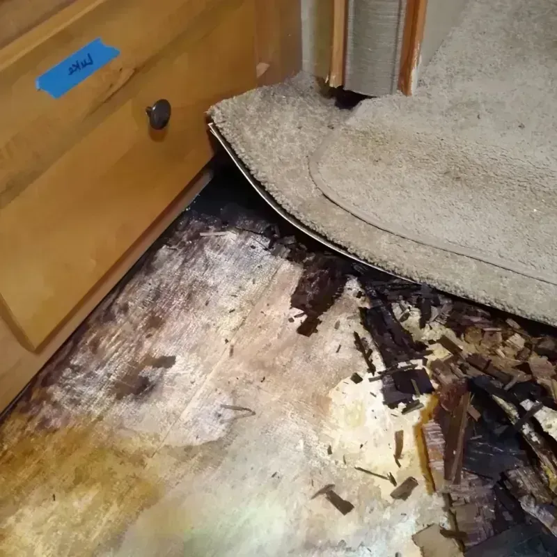 Wood Floor Water Damage in Rock County, NE